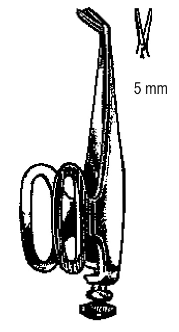 Barraquer Iridectomy Scissors 5mm, 5.5cm